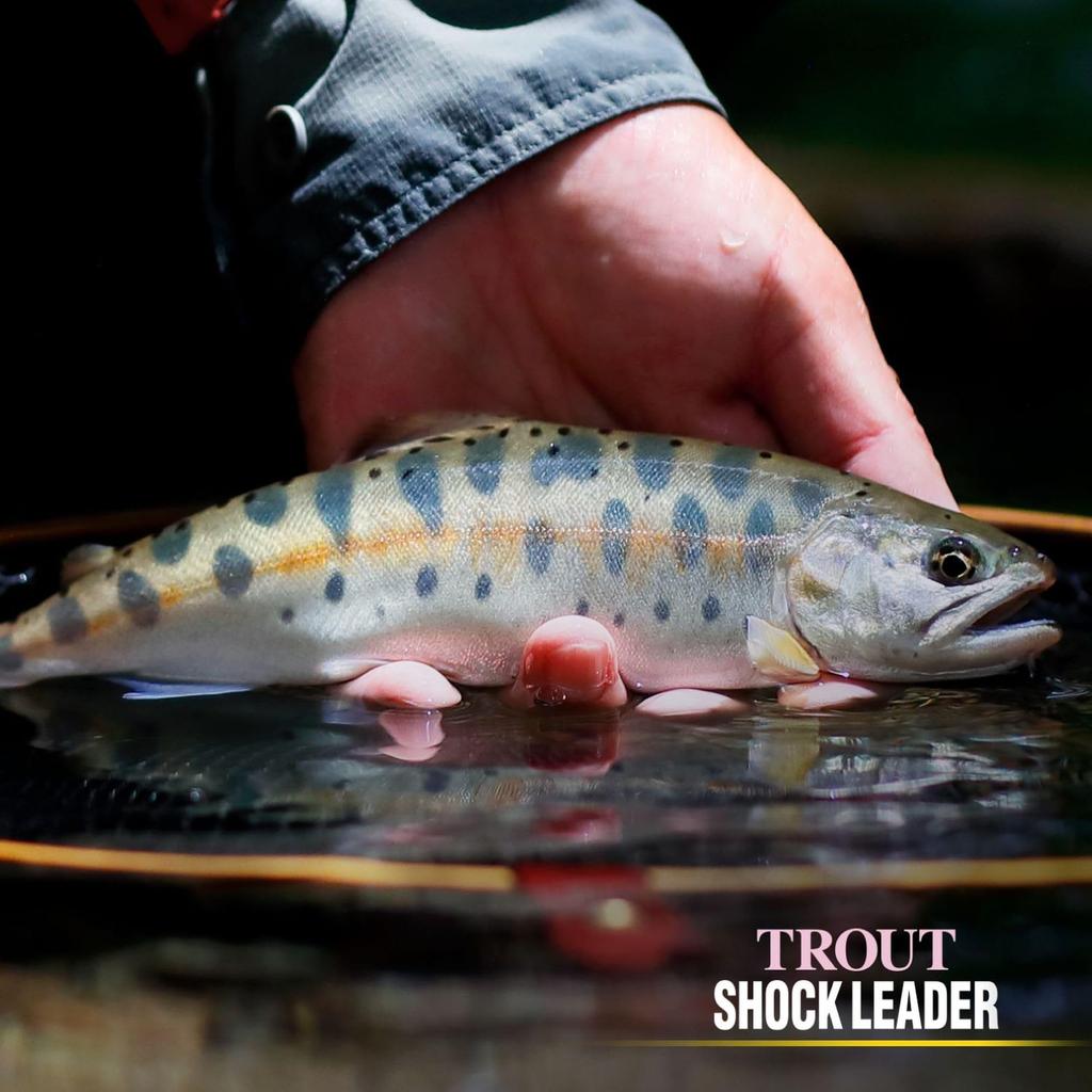 VARIVAS Trout Shock Leader Fluorocarbon 30m 2.5 (10lb.over)