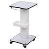 Beauty Salon Trolley Cart 360 Degree Rotating Silent Wheels Salon Spa Equipment Rolling Trolley Stand for Esthetician