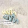 with resembling as a head accessory Jelly color wavy low-neck series hairstyle shark hairpins 1 PC hairpin clips  Delicate Jewelry