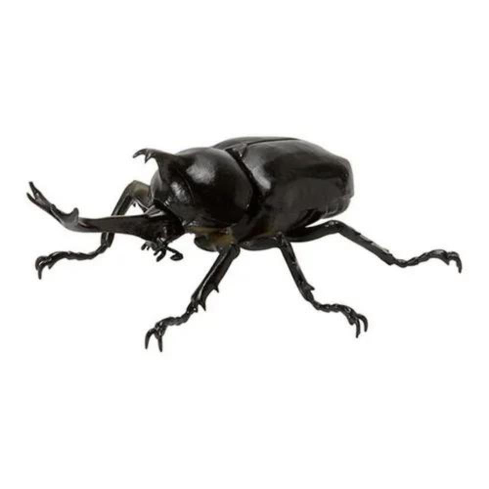 Украшение Скрученное Яйцо Насекомое Мини Жук Unicorus Dynastes Модель Животного Коллекция Настольное Украшение ФИГУРКА ИГРУШКИ