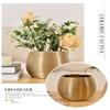 Room Ornaments Plant Vase Morden Gold Ceramic Art Vase Ceramic Vase