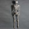 Halloween Skeleton Ornament 65inch Full Body Movable Joints Skeletons Lifelike Model for