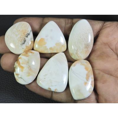 06 шт. Натуральный Сколецит Смешанный Кабошон Россыпь Драгоценных Камней Партия 197 карат. A-766