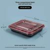 Plastic Disposable Lunch Box with Compartments - 3, 4 Grid Options for Takeaway, Bento, or Fast Food | Free Shipping