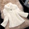 Women's Fur Coat Whole Coat Faux Fur Stand Collar Fur Short Korean Casual Slimming Jacket