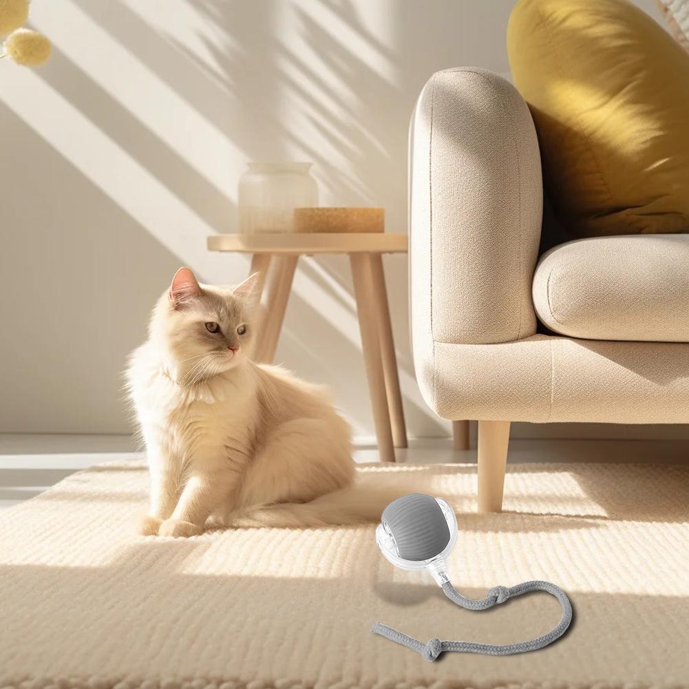 Pet Toy Ball Interactive Roller Ball for Cat and Dog Self-Entertaining Rechargeable Electric Roller Ball Toy Grey
