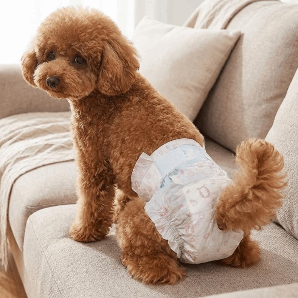 10PCS Breathable Female Dog Diapers Super Absorption Disposable Diapers Home Use