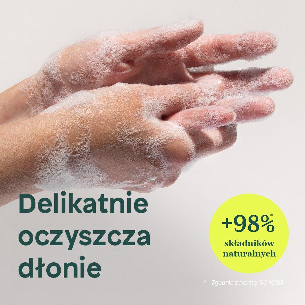 Hand Soap, Olive Leaves, 473ml