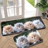 1 шт., напольный коврик с рисунком персидских кошек, современный кухонный полиэстеровый ковер, нескользящий, цветной, для дома, ванной комнаты, спальни, гостиной, декора