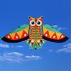 Owl Patterned Kites High Visibility Encourages Motor Skills Development Outdoor Exploration Gift
