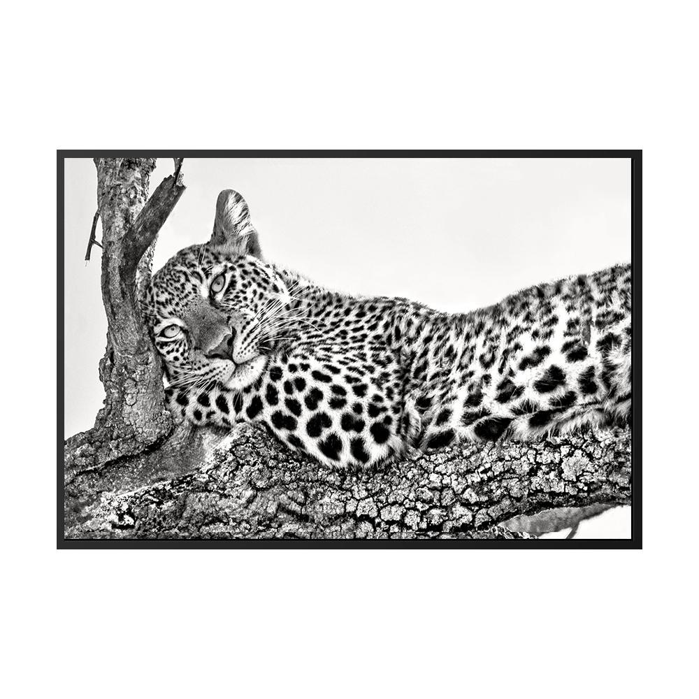 Леопардовые фотографии, постеры, принты, гепард, холст, картина, настенное искусство, черно-белое животное для гостиной, домашний декор, Cuadros