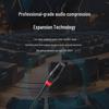 Runpu UHF Wireless Dual Gooseneck Conference Microphone System (CN version)