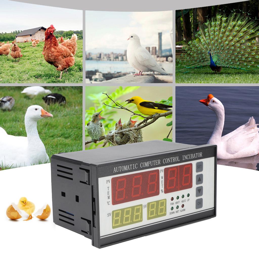 220V Incubator Thermostat High Accuracy Automatic Egg Turning Temperature Humidity Controller