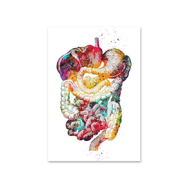 Строение человека Сердце Легкие и кости Плакаты и принты Медицинские клиники Картины на холсте Настенное искусство Медицинские энтузиасты Подарок