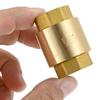 2pcs Brass Spring Check Valve 1/2 3/4 1 Inch NPT Female Thread Non Return One Way Horizontal Vertical In-Line Water Check Valve