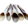 Horn Tube for Scrapping Therapy Universal for Entire Body Back Scrapping Plate Beauty Salon Dredging Meridian Massage Acupoint Massage Stick For Home