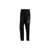 Брюки Astro Pant Cny со светоотражающим принтом, мужские брюки, черные GE5832