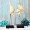 Ocean-Themed Mediterranean Decorations: Starfish, Seahorse, and Conch for Living Room or Restaurant