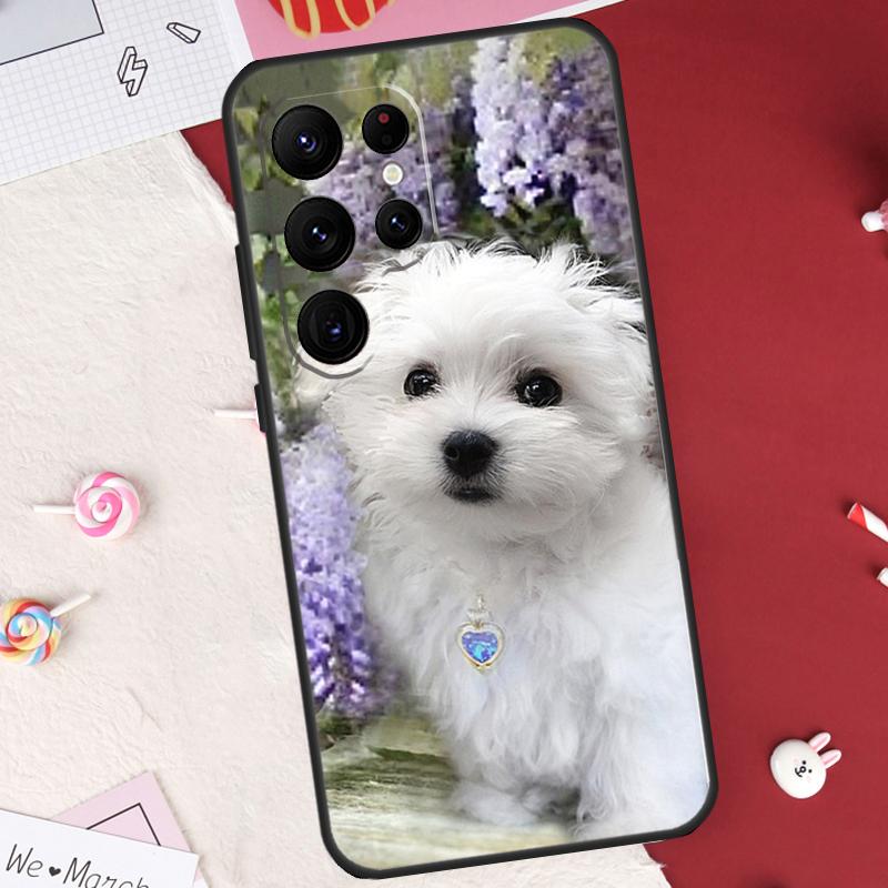Cartoon Maltese Dog Case For Samsung Galaxy S25 FE S23 FE S20 S21 S22 S24 S25 S26 Ultra S10 S25 Plus Cover Shell