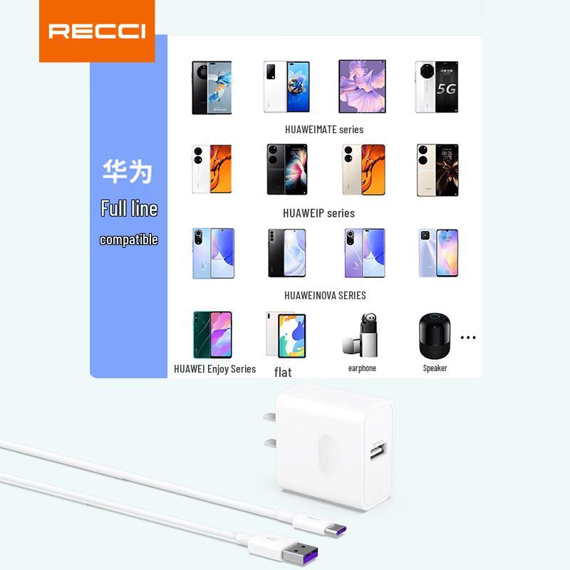 Быстрое зарядное устройство Recci RCK-13CC 22,5 В и набор кабелей