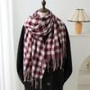 Korean Version Plaid Imitation Cashmere Scarf Fashion Simple Versatile Warm Scarf Women'S Fringed Shawl
