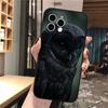 Чехол для телефона Carcasa Funda Для iPhone 17 Pro Max 17 Air 16 15 14 13 Pro Max 15 16 Pro 15Plus Сова