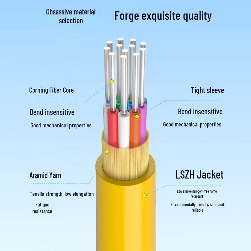 BOYANG GJFJH Single-Mode Indoor Fiber Optic Cable