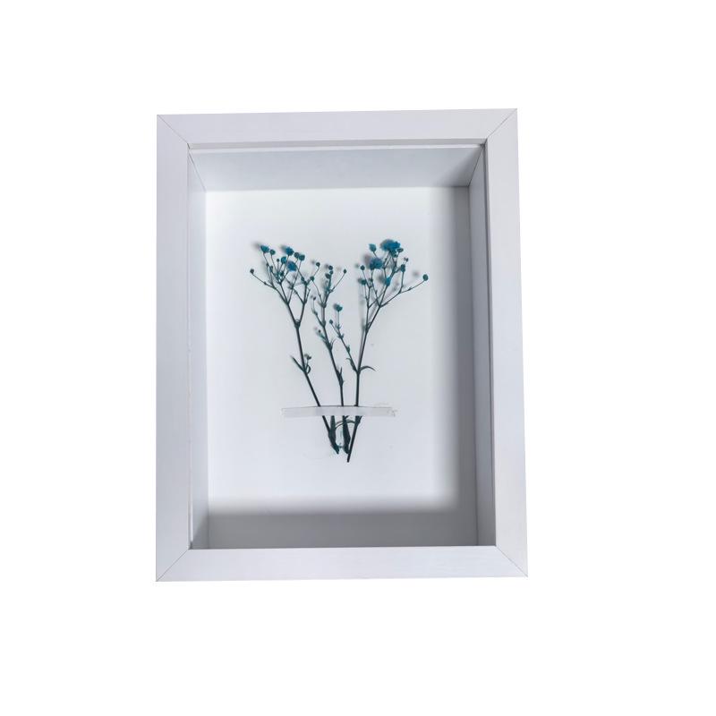 A4 Wooden Frame: 4cm Hollow Mount, Density Board, Plant Specimen, Desktop 6-Inch Photo Display.
