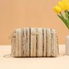 Girlish Color Straw Shoulder Bag Multifunctional, Portable and Perfect As a Women's Camera or Cosmetics Bag