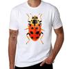 Orange Beetle Tshirt Active Wear Sports Tshirt For Unisex