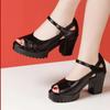 2025 Buckle Strap Women's Sandals New Open Toe Office and Career Summer Best Seller Comfortable Heeled Sandals Zapatos