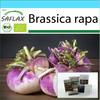 Gift Set - Organic - Turnip - Milan Purple - 600 Seeds - With Gift Box, Card, Label and Potting Substrate - Brassica Rapa