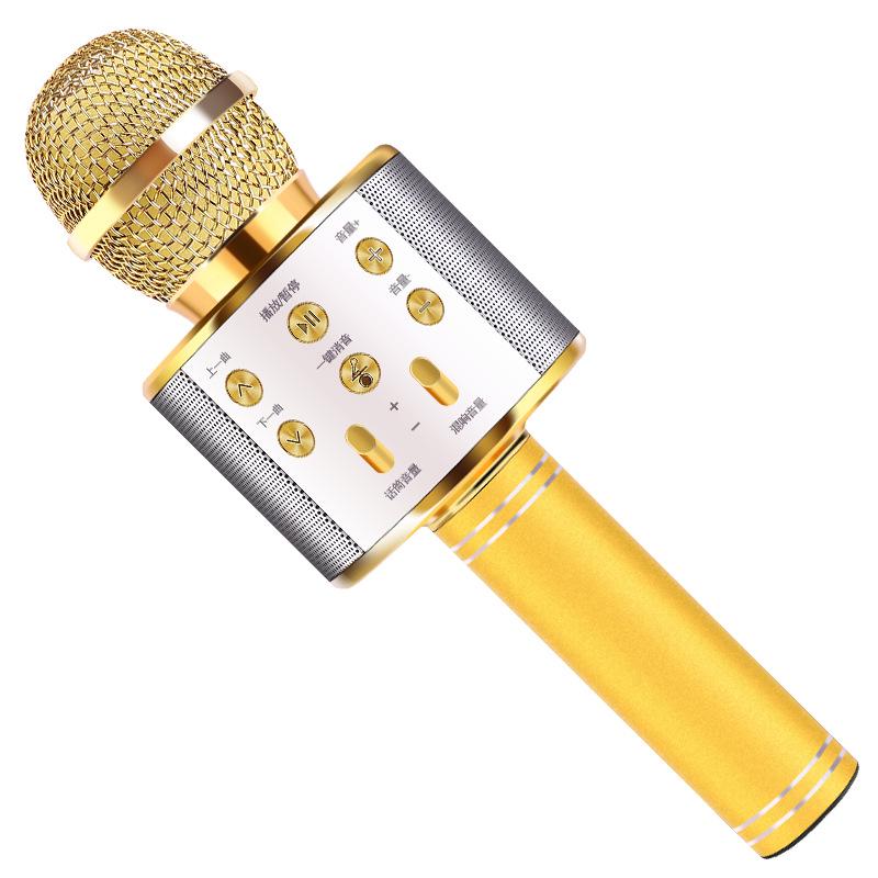 Wireless Bluetooth Home KTV Singing Microphone and Speaker - Model 858