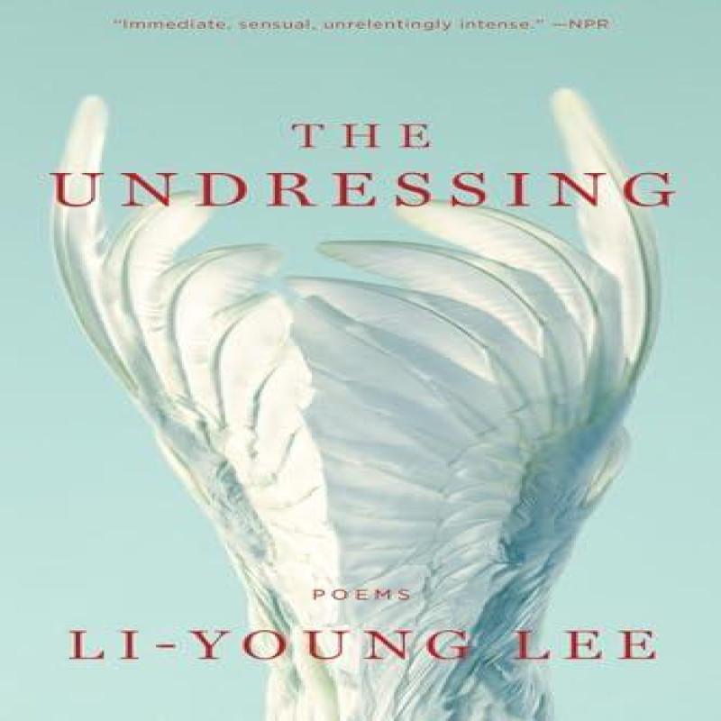 The Undressing by LiYoung Lee Paperback Book 9780393357875