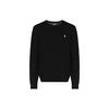 Polo Ralph Lauren Logo embroidered Sweatshirt 710675313-021