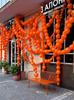Набор из 100 шаров 6 дюймов, разных цветов, для украшения дня рождения