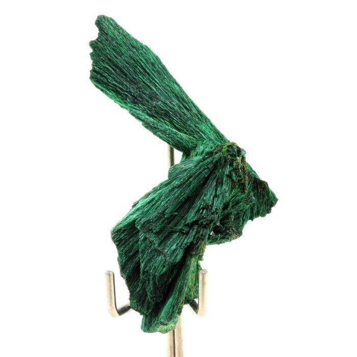 Pierres et Minéraux. Malachite. 63.5 ct. Katanga, Congo.