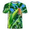 2024 Summer New Vegetable and Fruit Series 3D Printed T-shirt, Niche and Handsome, Popular for Both Men and Women, Short Sleeved