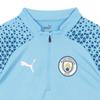 Puma Manchester City Training 1 4 Zip Top Man City