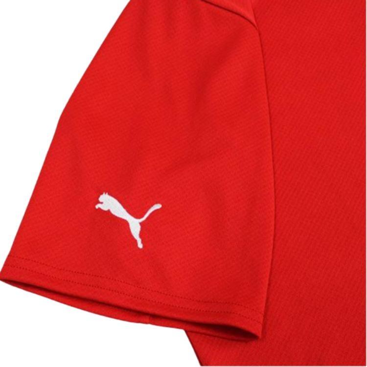 PUMA Austrian National Team Soccer Jersey Men's Red 766010-01