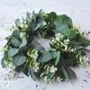 Artificial Eucalyptus Plant Wreath Wedding Holiday Supplies Door Home Decoration Diy Photo Props Flowers Background Wall Garland