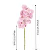 Real Touch Artificial Vanda Orchid Flower Handmade Faux Phalaenopsis  Wedding Party Favors
