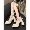 Mary Jane High Heels Women 2025 Spring and Autumn New Thick Heels Single Shoes Fairy Style Small French Retro Small Leather Shoes