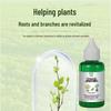 Quick-Acting Revitalizer: Solution for Flowers, Fruits & Vegetables – Tackles Yellow Leaves & Bare Branches