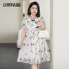 Плюс размер женские новые китайские летние повседневные платья в китайском стиле с росписью тушью