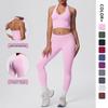 Бесшовный комплект из двух предметов для йоги и фитнеса с halter-топом для женщин