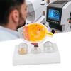 Enlarged Human Eye Anatomical Model Accurate Shows Optic Cornea Lens Eyeball Model Human Eyeball Model