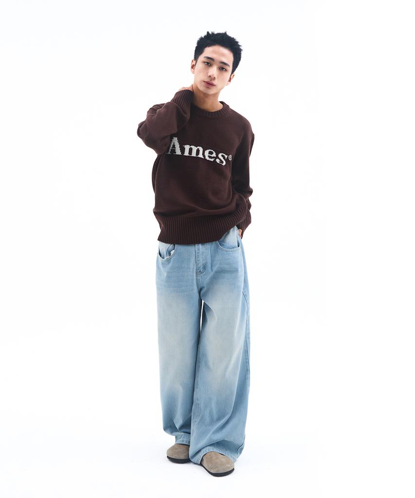 AMES-WORLDWIDE Basic Pullover Knit Brown