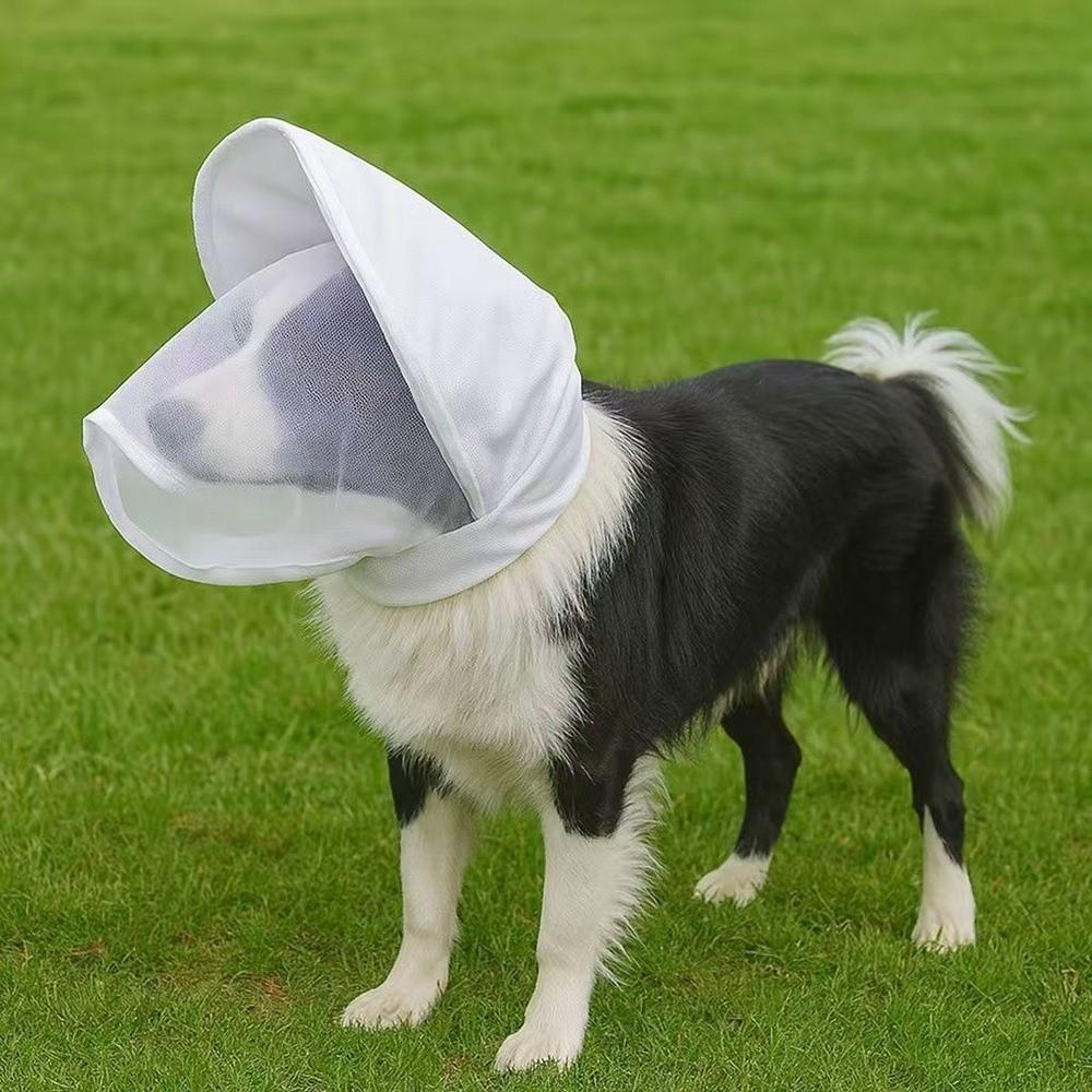 Ear Shield Dog Headgear Breathable Mesh Pet Head Cover Pet Supplies Dog Anti-Bite Hiking