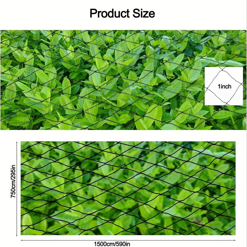 Nylon Bird Netting Mesh Hawk Netting Protective Chicken Coop Netting 25X50 FT Fruit Tree Netting for Anti Birds Deer Squirrels